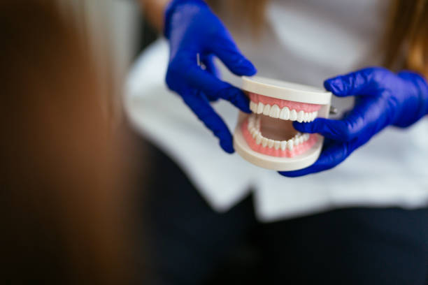 Professional Dental Services in San Castle, FL